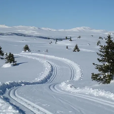 Fagerhoy Fjellstue מלון
