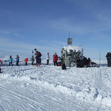 Hotel Fagerhoy Fjellstue 2*