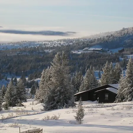 Fagerhoy Fjellstue 2* Tunhovd