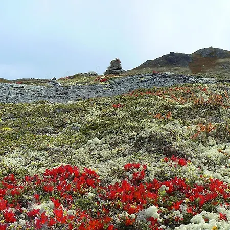 Fagerhoy Fjellstue 2*
